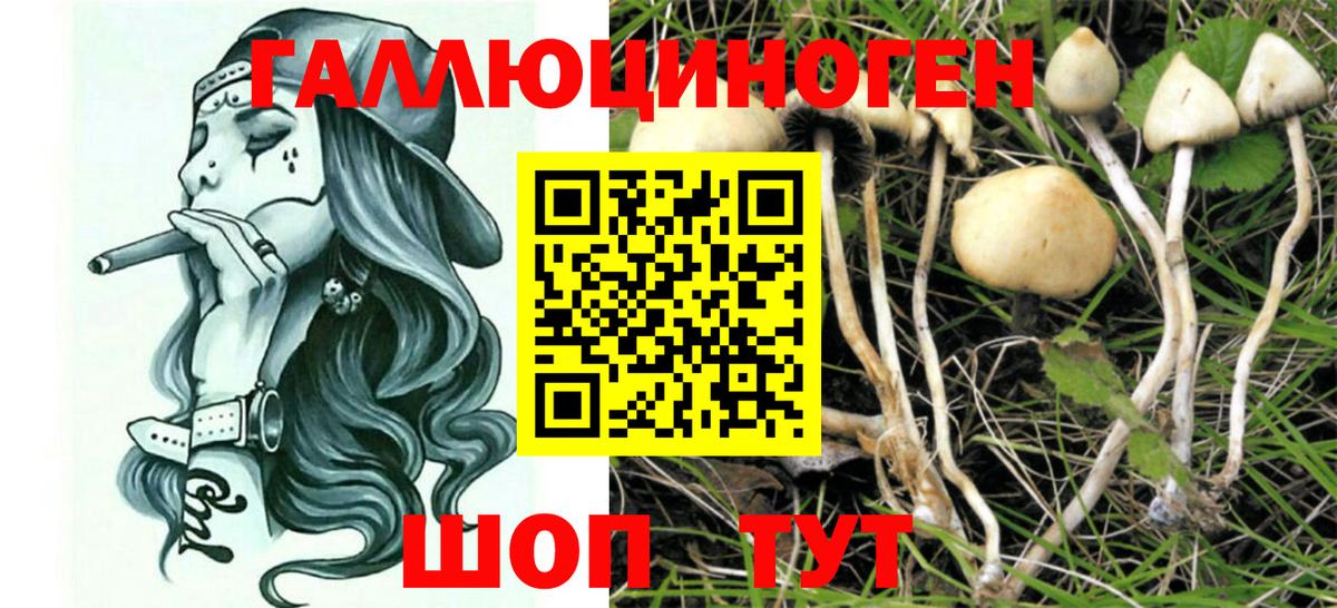 Псилоцибиновые грибы MAGIC MUSHROOMS  купить наркоту  Орехово-Зуево  Галлюциногенные грибы ЛСД  Вход с VPN 